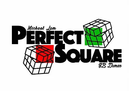 Perfect Square By Michael Lam
